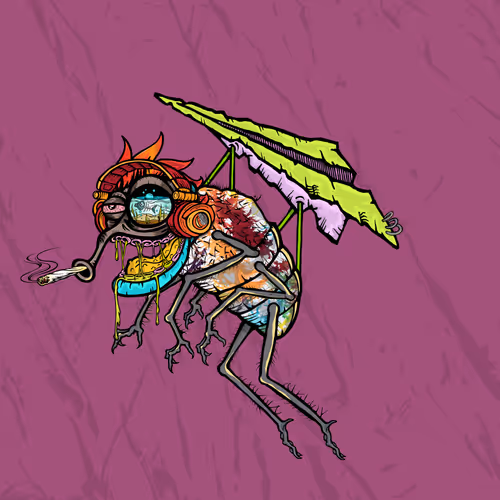 Official Funky Flies