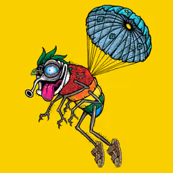 Funky Fly #1984