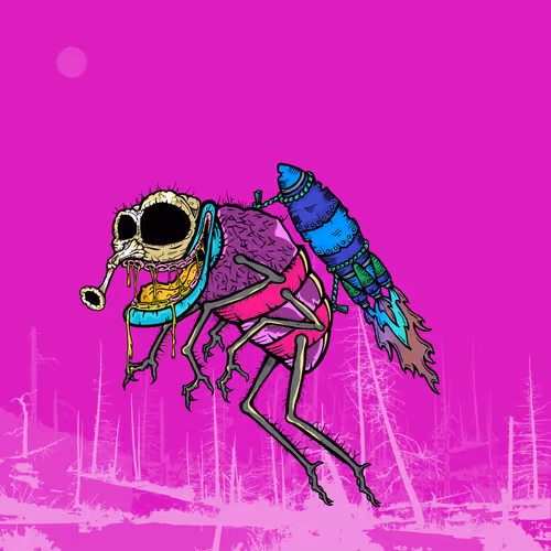 Official Funky Flies