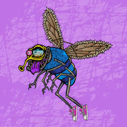 Funky Fly #2970