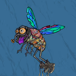 Funky Fly #6247