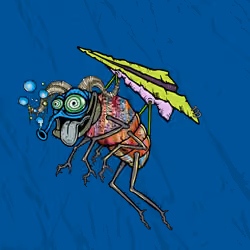 Funky Fly #3555
