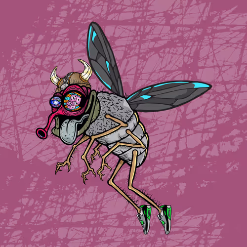 Official Funky Flies