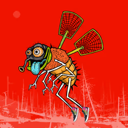 Funky Fly #1627
