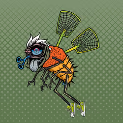 Funky Fly #377