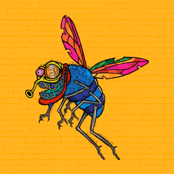 Funky Fly #2613