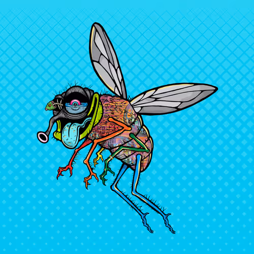 Official Funky Flies