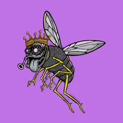 Funky Fly #1738