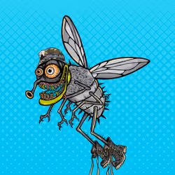 Funky Fly #1823