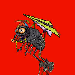 Funky Fly #1441