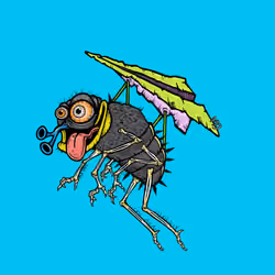 Funky Fly #70