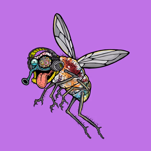 Official Funky Flies