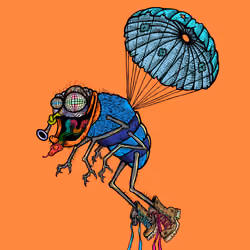 Funky Fly #5078