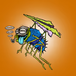 Funky Fly #3107
