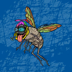 Funky Fly #304