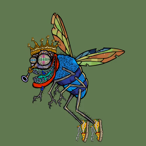 Official Funky Flies