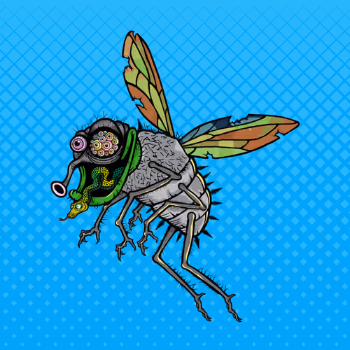 Funky Fly #2248