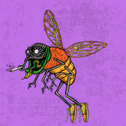 Funky Fly #6842