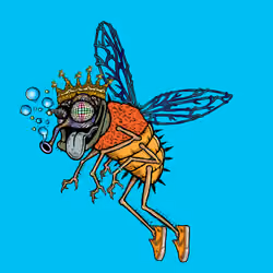 Funky Fly #2276