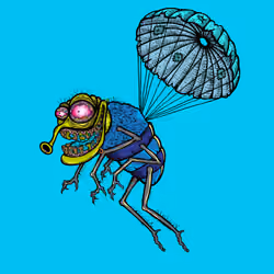 Funky Fly #906