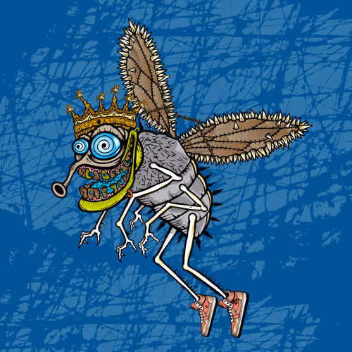 Official Funky Flies