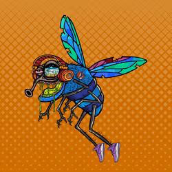 Funky Fly #2795