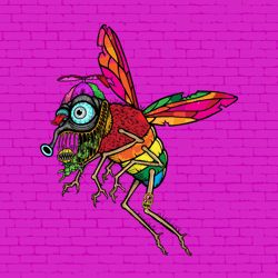 Funky Fly #6239