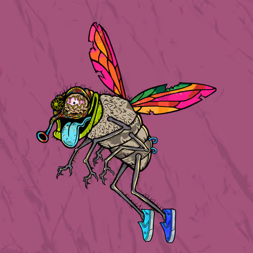 Official Funky Flies