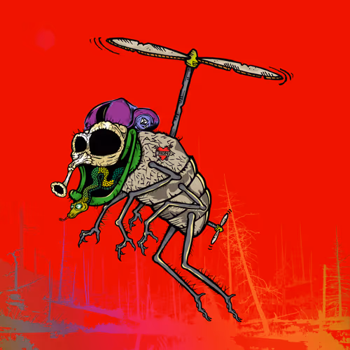 Official Funky Flies
