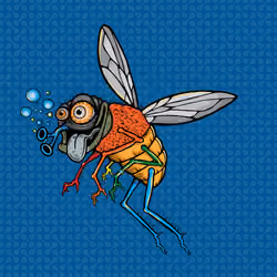 Funky Fly #5811
