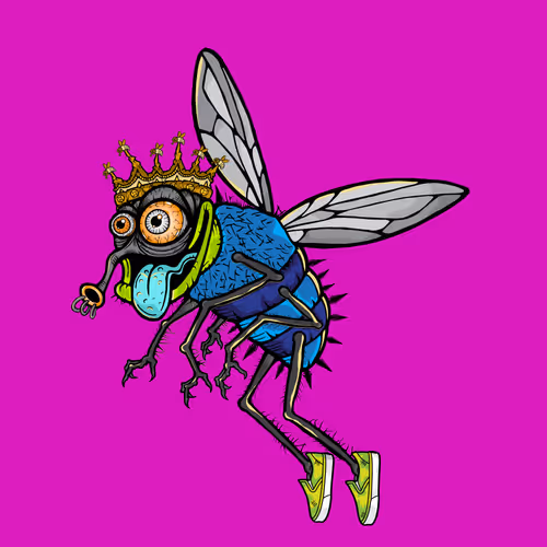 Official Funky Flies