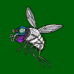 Funky Fly #7570