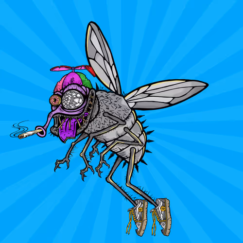 Official Funky Flies