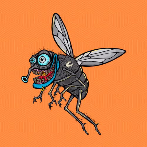 Official Funky Flies