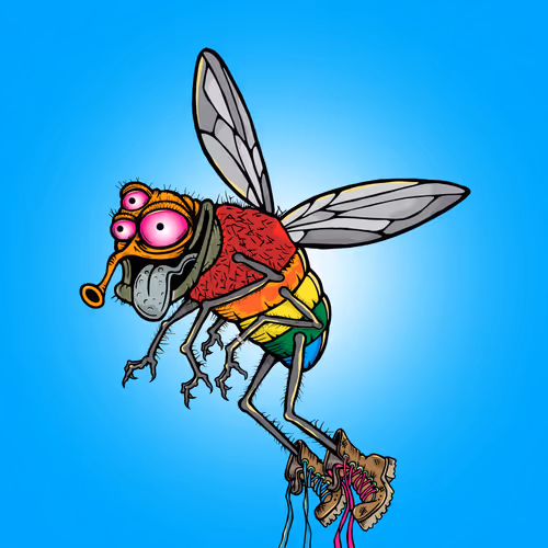 Official Funky Flies