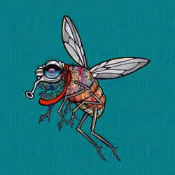 Funky Fly #827