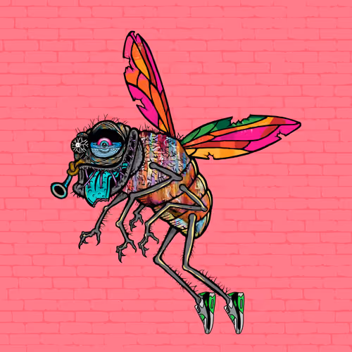 Funky Fly #584