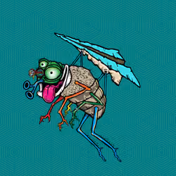 Funky Fly #5308