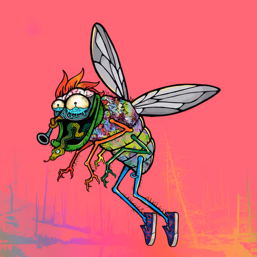 Official Funky Flies