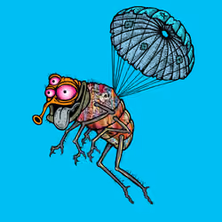 Funky Fly #3330