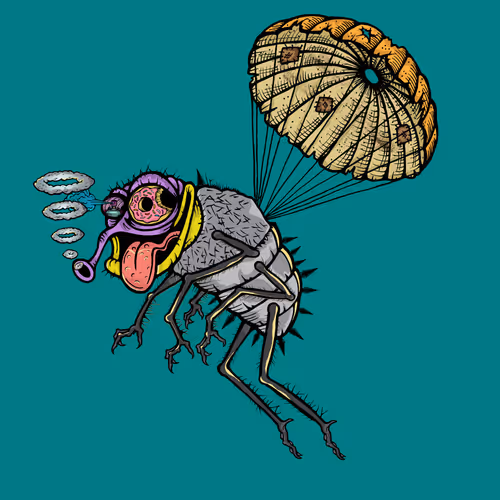 Official Funky Flies