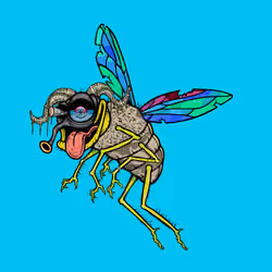 Funky Fly #133
