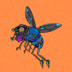 Funky Fly #7534