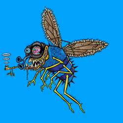 Funky Fly #7174