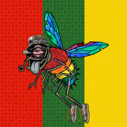 Funky Fly #155