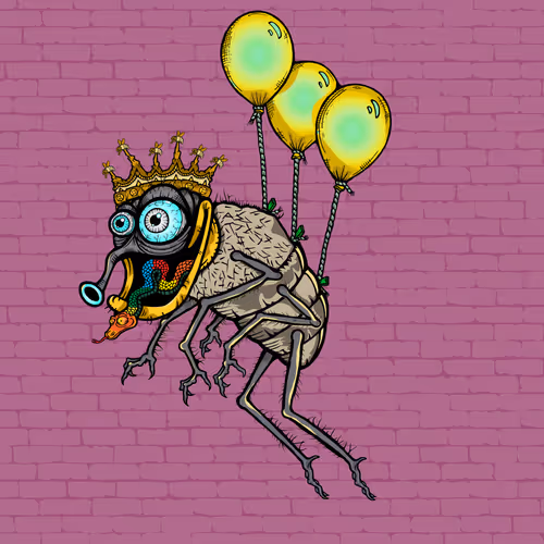 Official Funky Flies