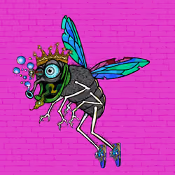 Funky Fly #1987
