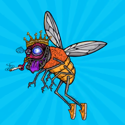 Funky Fly #6155