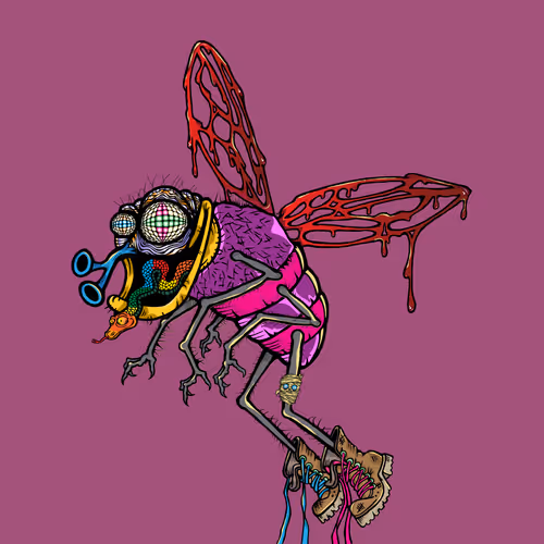 Official Funky Flies
