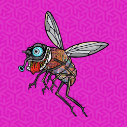 Funky Fly #1264